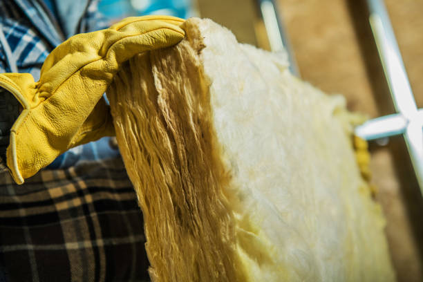 Best Spray Foam Insulation  in Proctor, MN