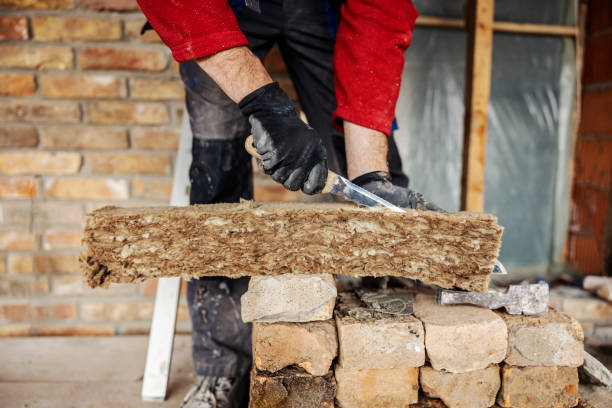 Best Insulation Contractors for Homes  in Proctor, MN