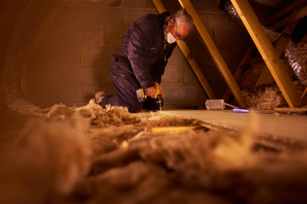 Best Attic Insulation Installation  in Proctor, MN